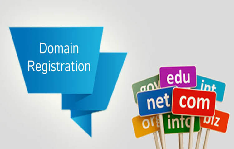 Domain Registration Service